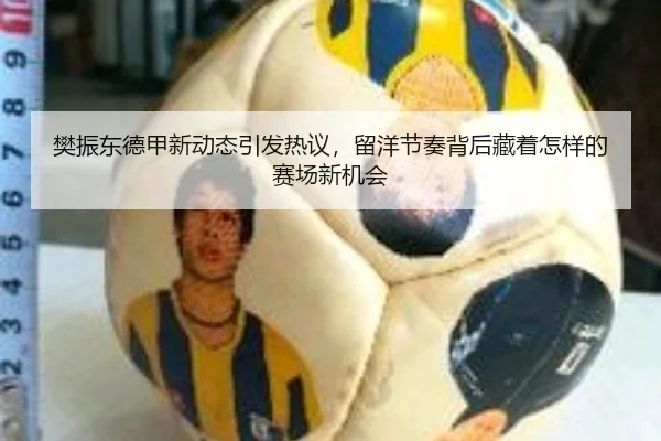 樊振东德甲新动态引发热议，留洋节奏背后藏着怎样的赛场新机会 - maiqiuwang